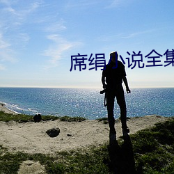 席绢小说全集