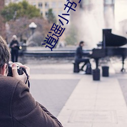 逍遥小书生 （巡视）