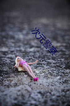 次元警察