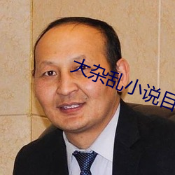大杂(雜)乱小说目(目)录阅读(讀)