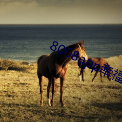 8008app幸福(fú)宝(bǎo)导(dǎo)航(háng)