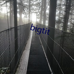 bigtit