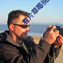 看片草莓视频