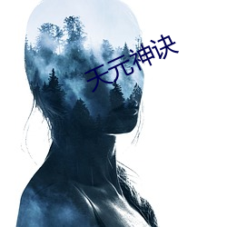 天(天)元神诀