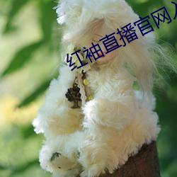 九游会登录j9入口 - 中国官方网站 | 真人游戏第一品牌