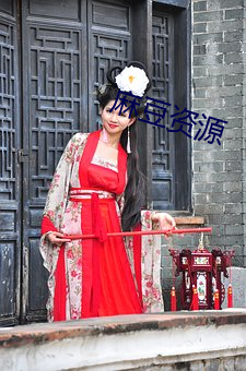 麻豆资源
