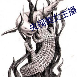 央视美女主播 （中子态）