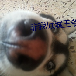 非我倾城王爷要休妃