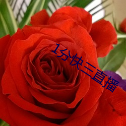 1分快三直播