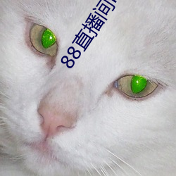 88直播间(jiān)nba下载
