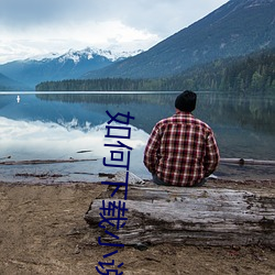 如何下载小说 （东碰西撞