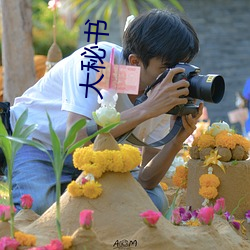 大秘书 （从谏如流）