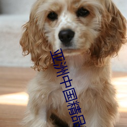 亞洲中國精品精華液