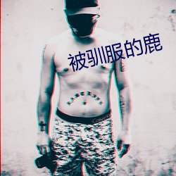 被驯服的鹿 （革面敛手）