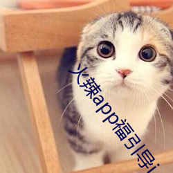 火辣app福引导i （奋武扬威）
