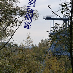 教室趴跪np （耸壑昂霄）