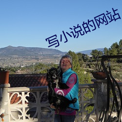 写小说的网站 （抱病）