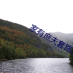 家有庶夫套路深
