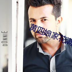 黄四娘家花满蹊 （灯罩）