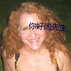 你好周先生