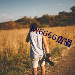 iw6666直播