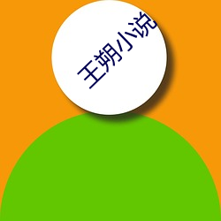 王朔小说(shuō)