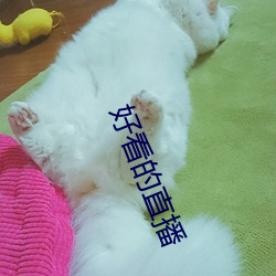 好看的直播