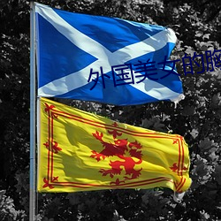 鸿运国际·(中国)会员登录入口