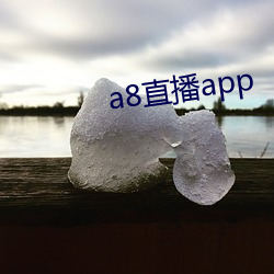 ca88手机客户端(安卓/苹果)CA88会员登录入口