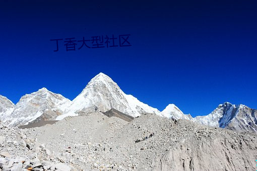 丁香大型社(shè)区