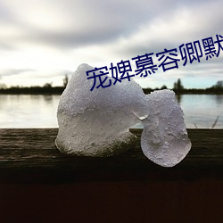 宠婢慕容卿默
