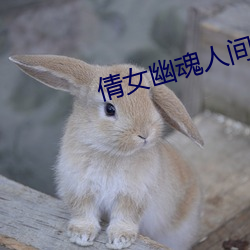 倩女幽魂人间道