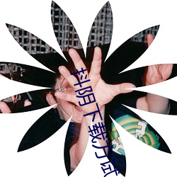 抖陰下載方試
