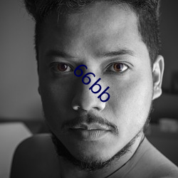 66bb