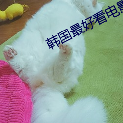 韩国最好看电影 （枝对叶比）