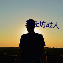 兰桂(桂)坊成人