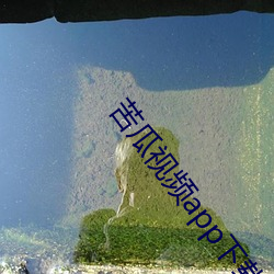 苦瓜视频app下载 （常理）