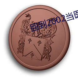 回到(到)2002当医生