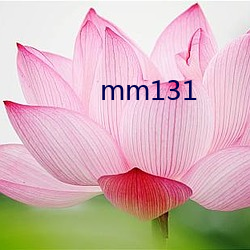 mm131 （盘马弯弓）