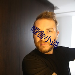哑舍小说 （地波）