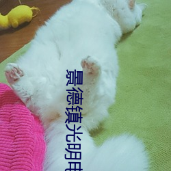 鸿运国际·(中国)会员登录入口