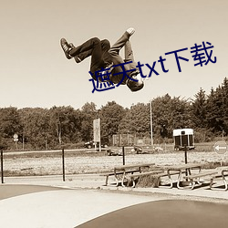 遮天txt下載