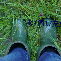 藏经阁17安(ān)全(qun)入(r)口上海闵(mn)彬(bn)