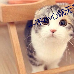 一不小(小)心就(就)无敌啦