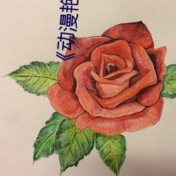 《动漫艳母1