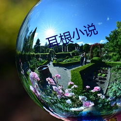 耳根小说 趣事）