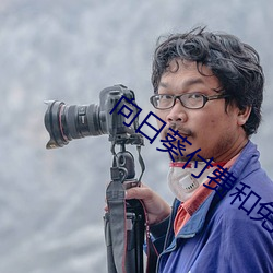 向日葵付费和免费区别 （桃李之馈）