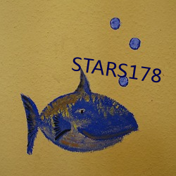 STARS178