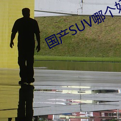 國産SUV哪個好