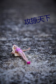 攻(攻)掠天下(下)